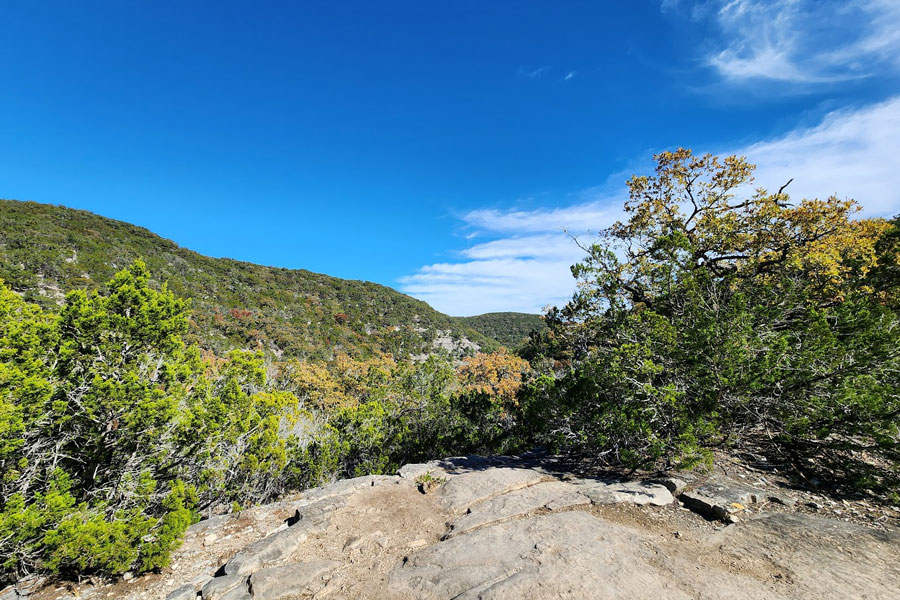 Lost Maples State Park is less than a 30 minute drive.